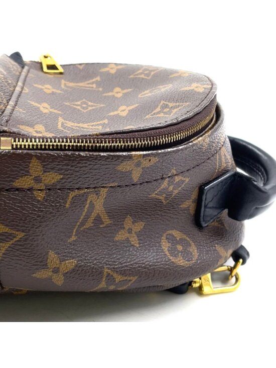 Louis Vuitton Palm Springs Backpack Mini Monogram Correspondence Leather Brown main image 8